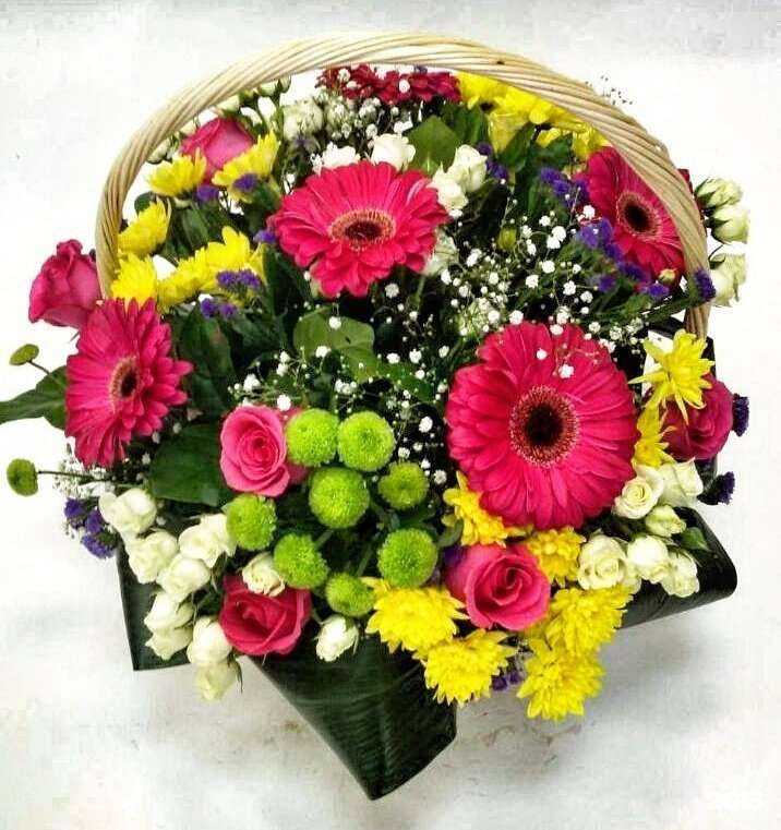 Отзывы на компанию Roza vam в г. Бердск c фото