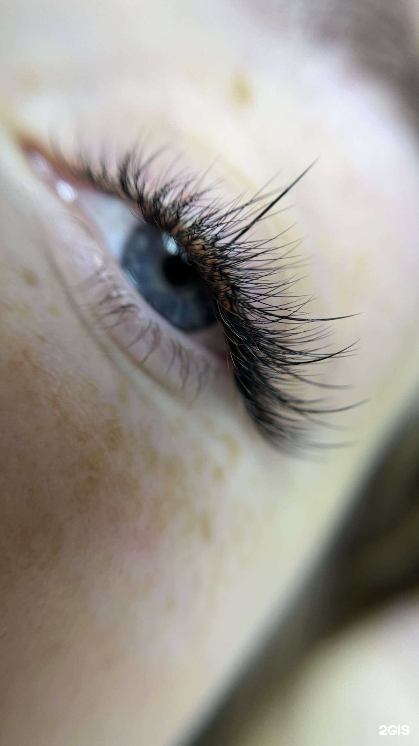 Отзывы на компанию Brows&Lash в Петрозаводске c фото