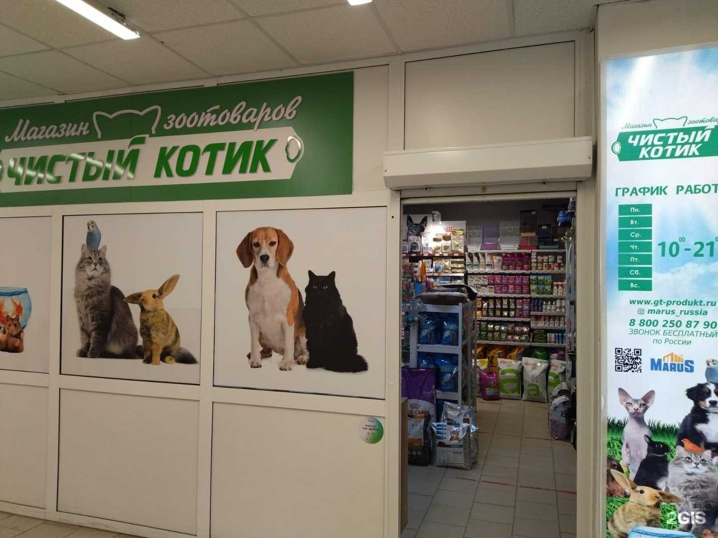 Отзывы на компанию Чистый котик в Уфе c фото