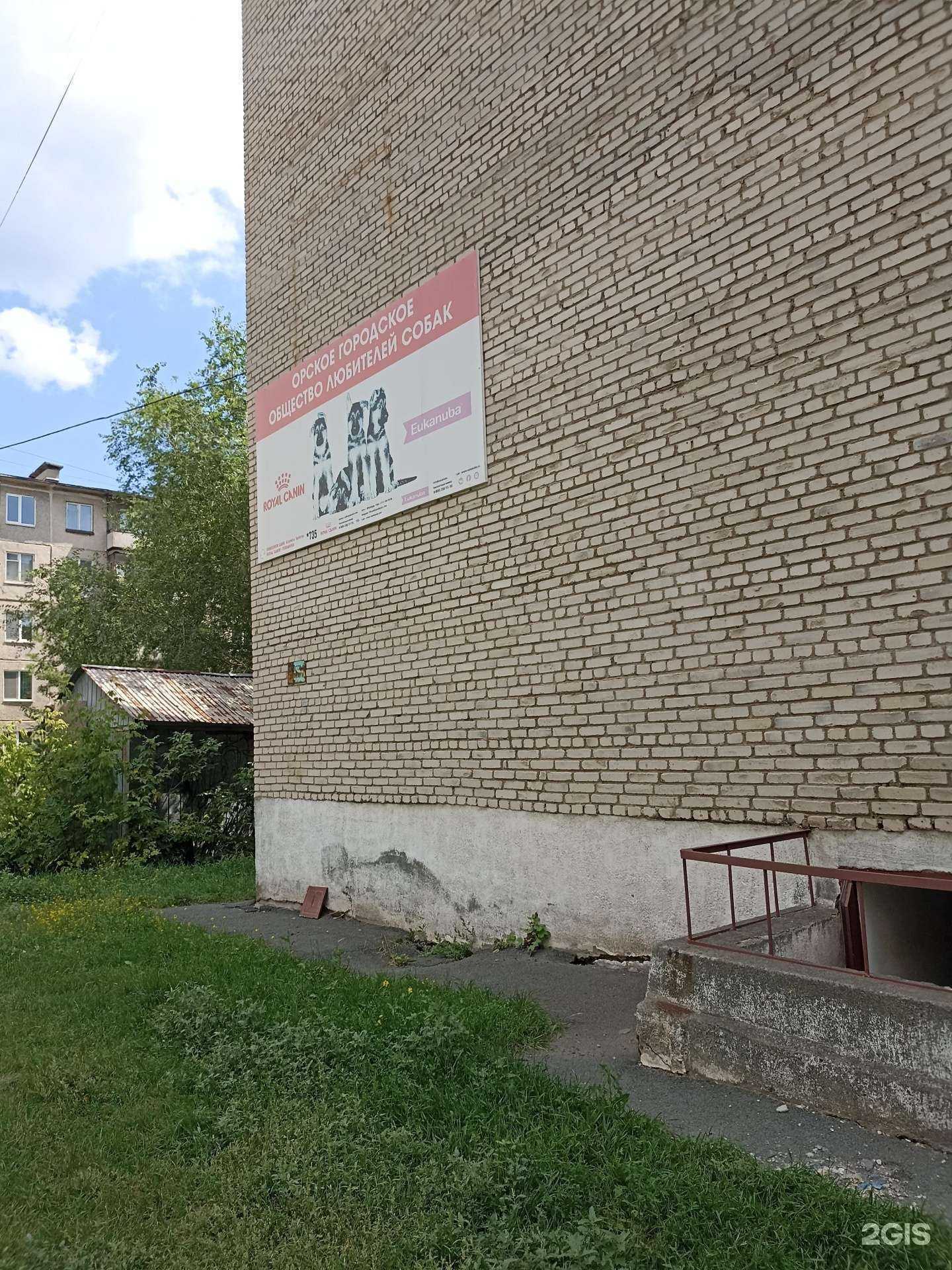 Отзывы на компанию Орское городское общество любителей собак в Орске c фото