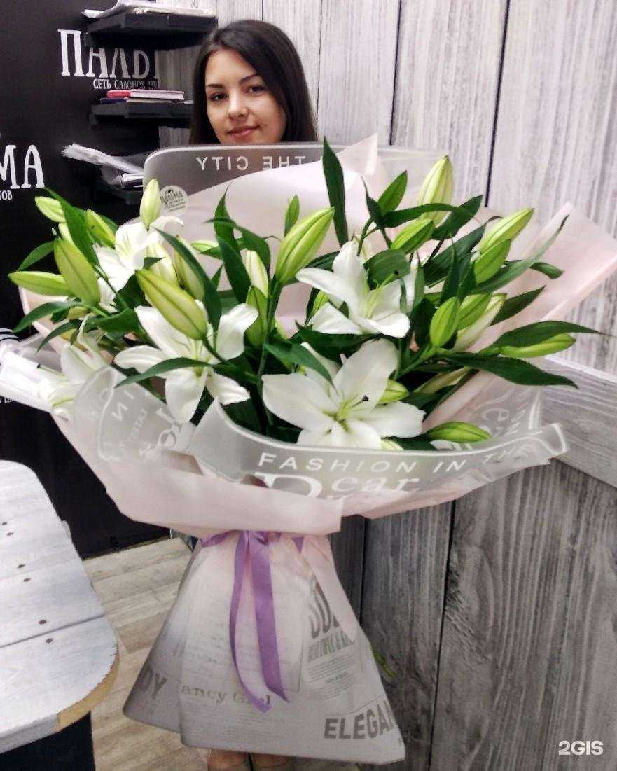 Отзывы на компанию Пальма в Белгороде c фото