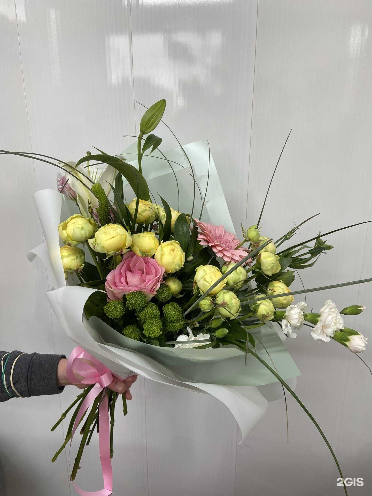 Отзывы на компанию Сальвия в Воронеже c фото