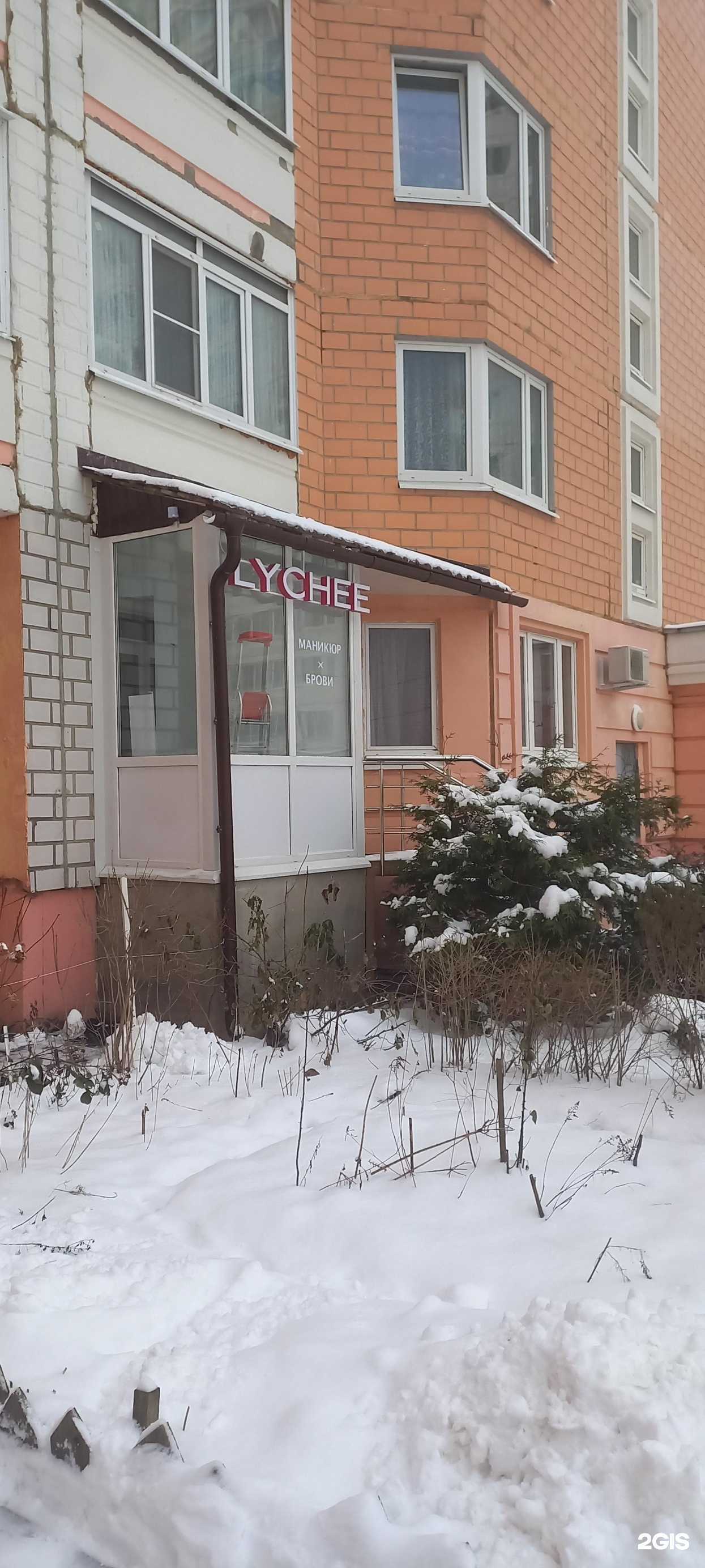 Отзывы на компанию Lychee в Твери c фото