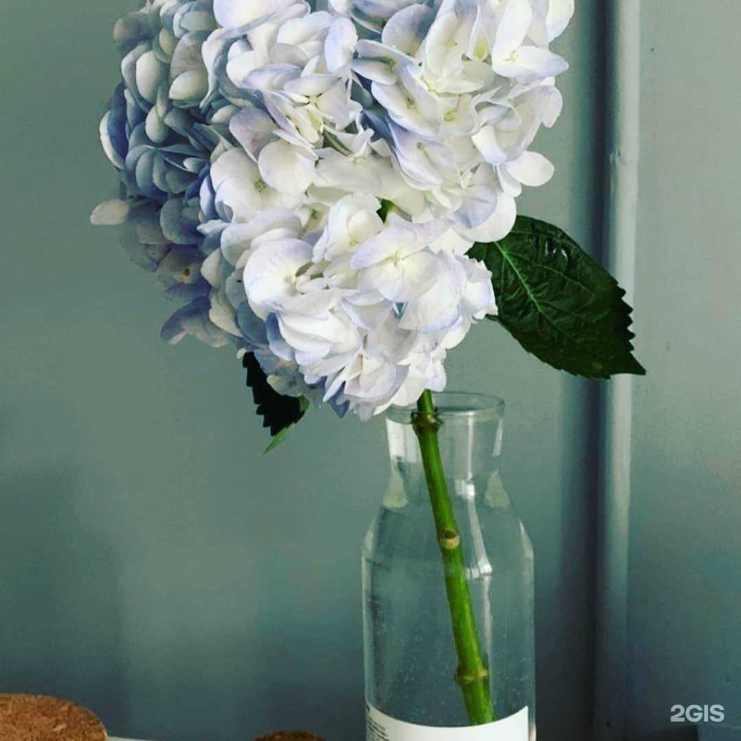 Отзывы на компанию Стоматология доктора Маслова в г. Нефтекамск c фото