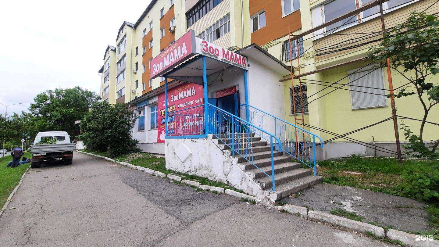 Отзывы на компанию ЗооМама в г. Фокино c фото