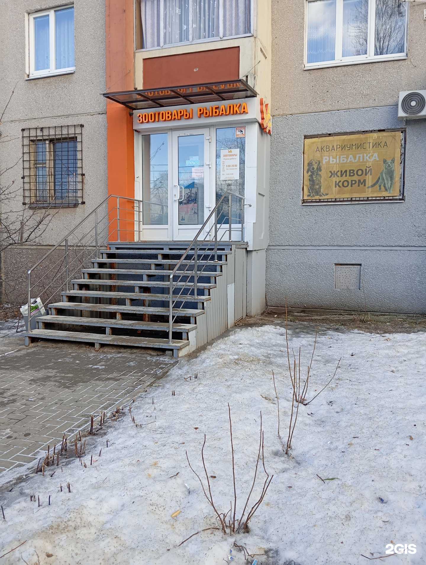 Отзывы на компанию Зоомагазин в г. Воронеж c фото