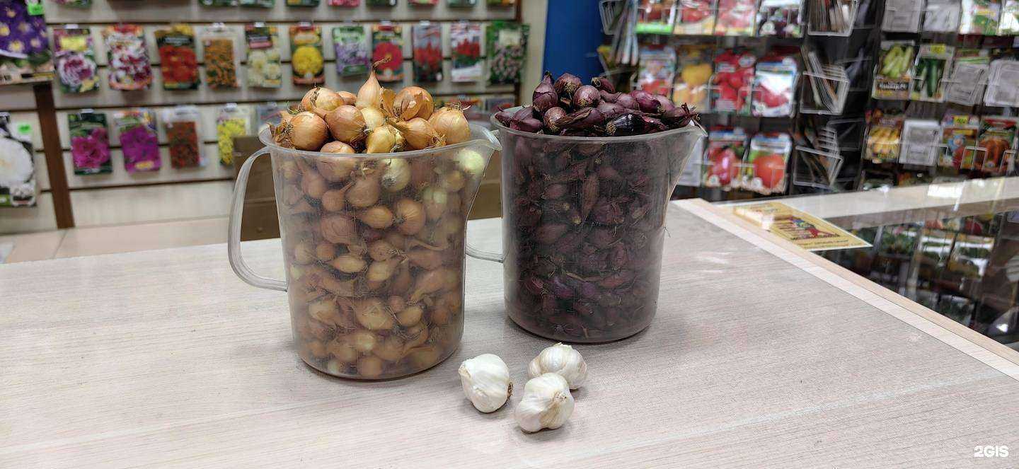 Отзывы на компанию Дачный сезон в г. Чита c фото