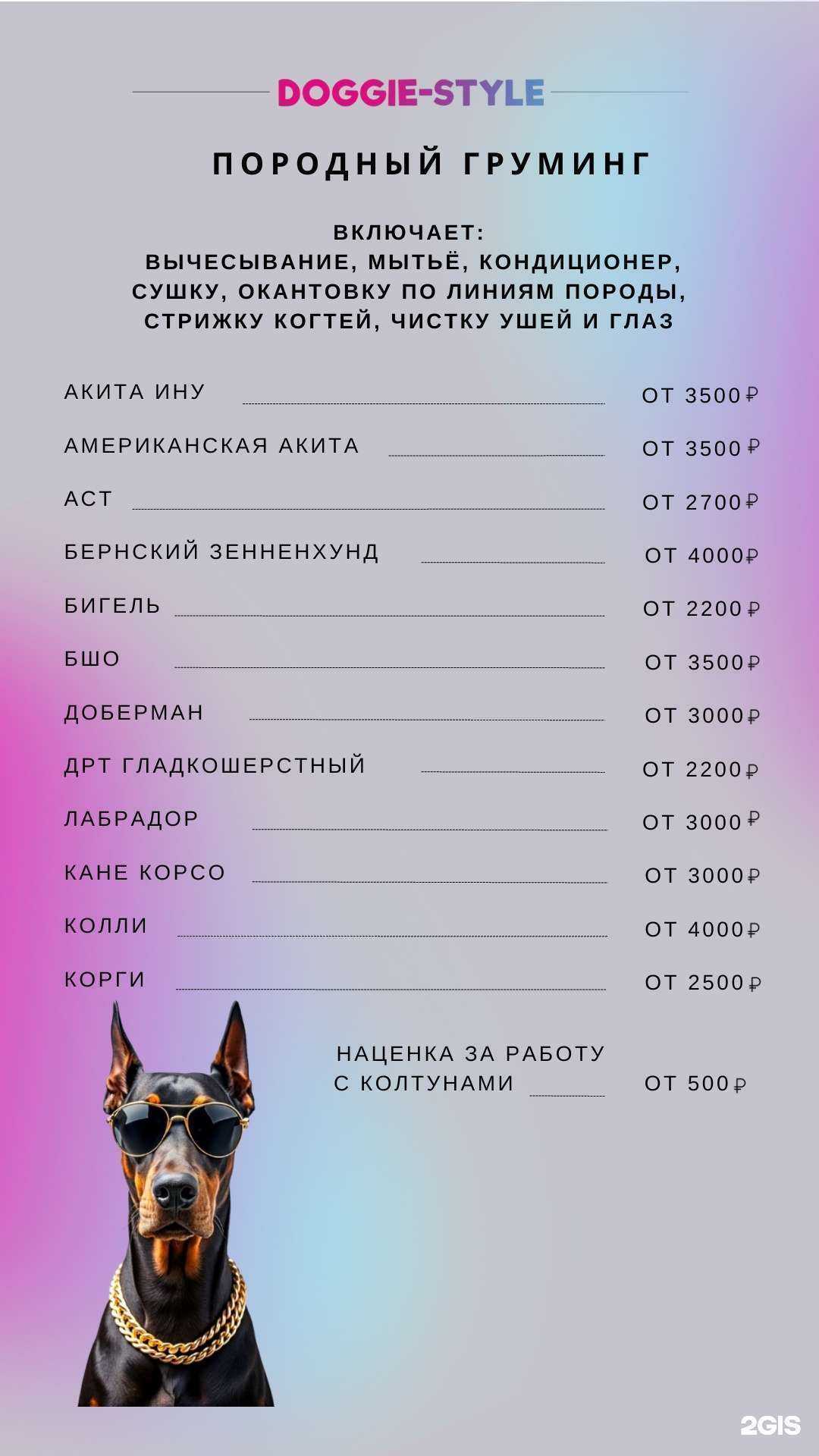 Отзывы на компанию Догги Стайл в Казани c фото