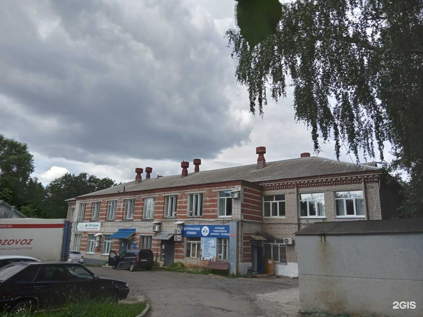 Отзывы на компанию Ветеринарная клиника ортопедии и травматологии домашних питомцев в Чебоксарах c фото - фотография 2 из 2