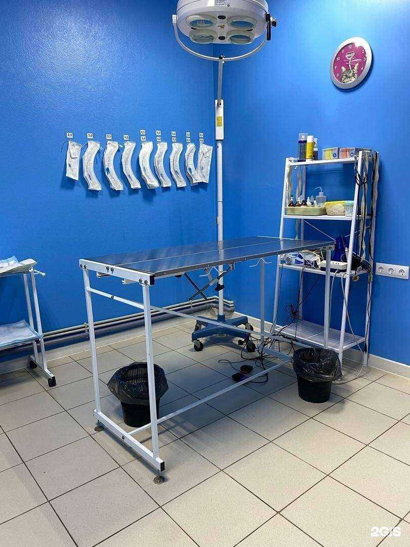 Отзывы на компанию Кот Матроскин в Нижнем Новгороде c фото