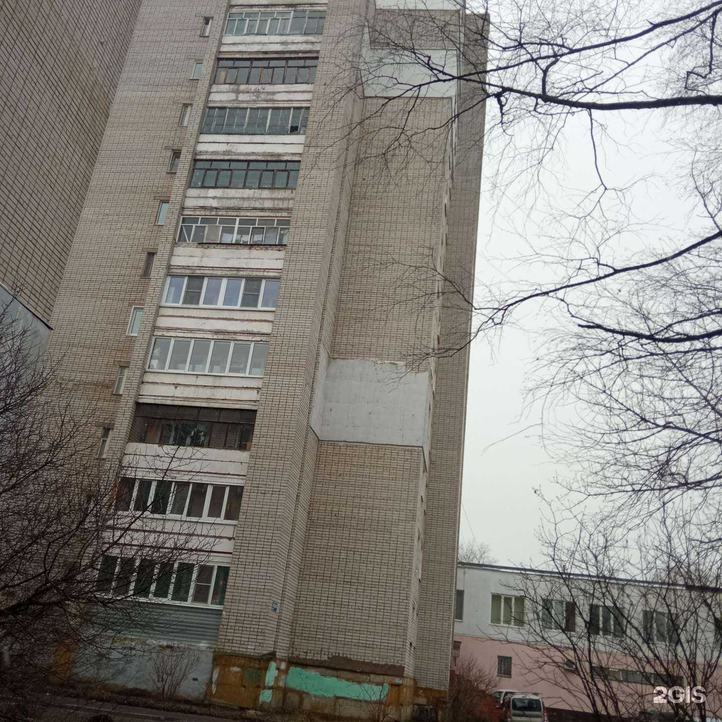 Отзывы на компанию Серый Кит в Ярославле c фото - фотография 2 из 2