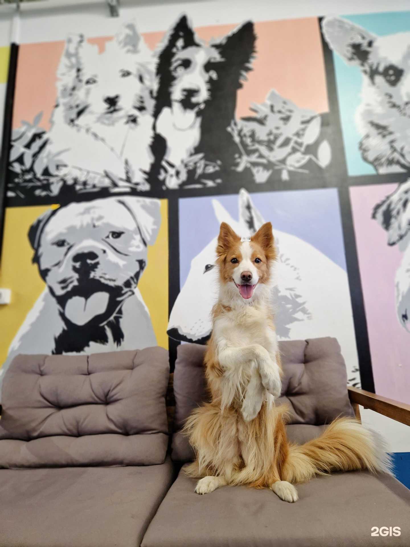 Отзывы на компанию Лиспол в г. Ярославль c фото