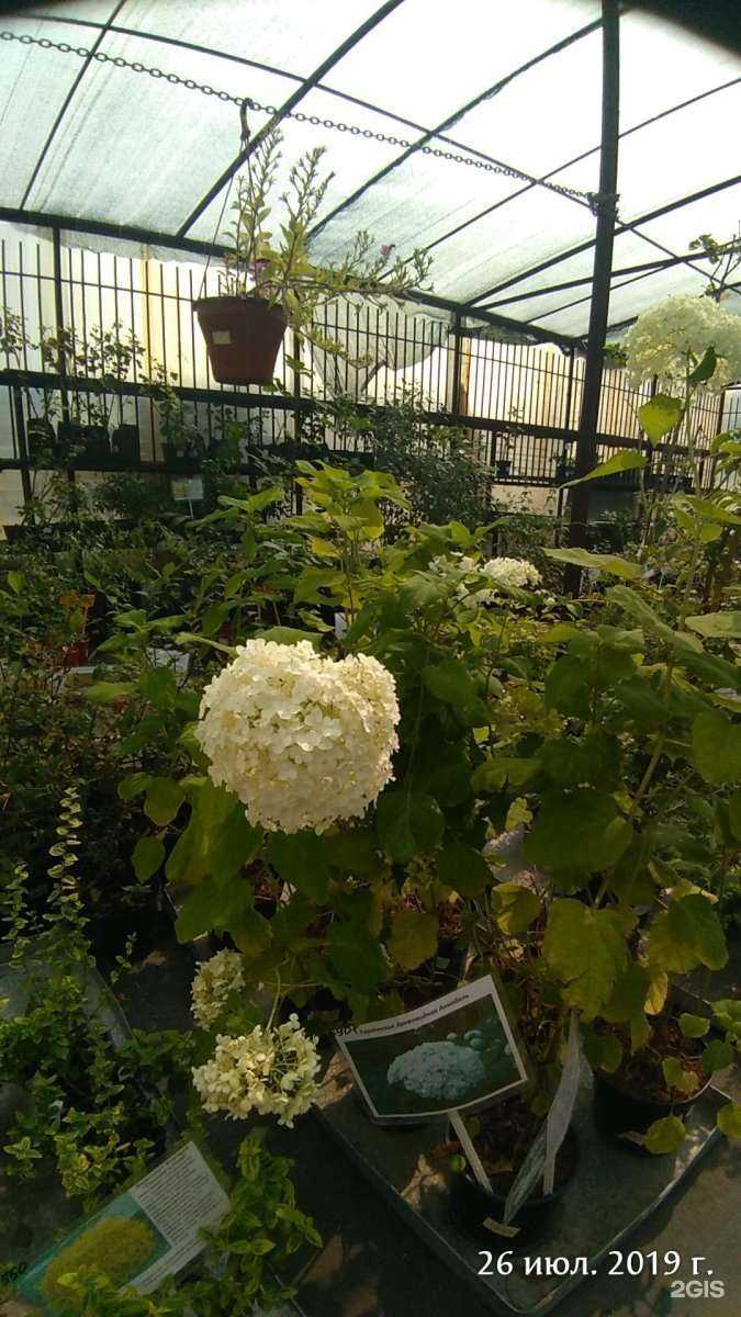 Отзывы на компанию Европа в Кургане c фото