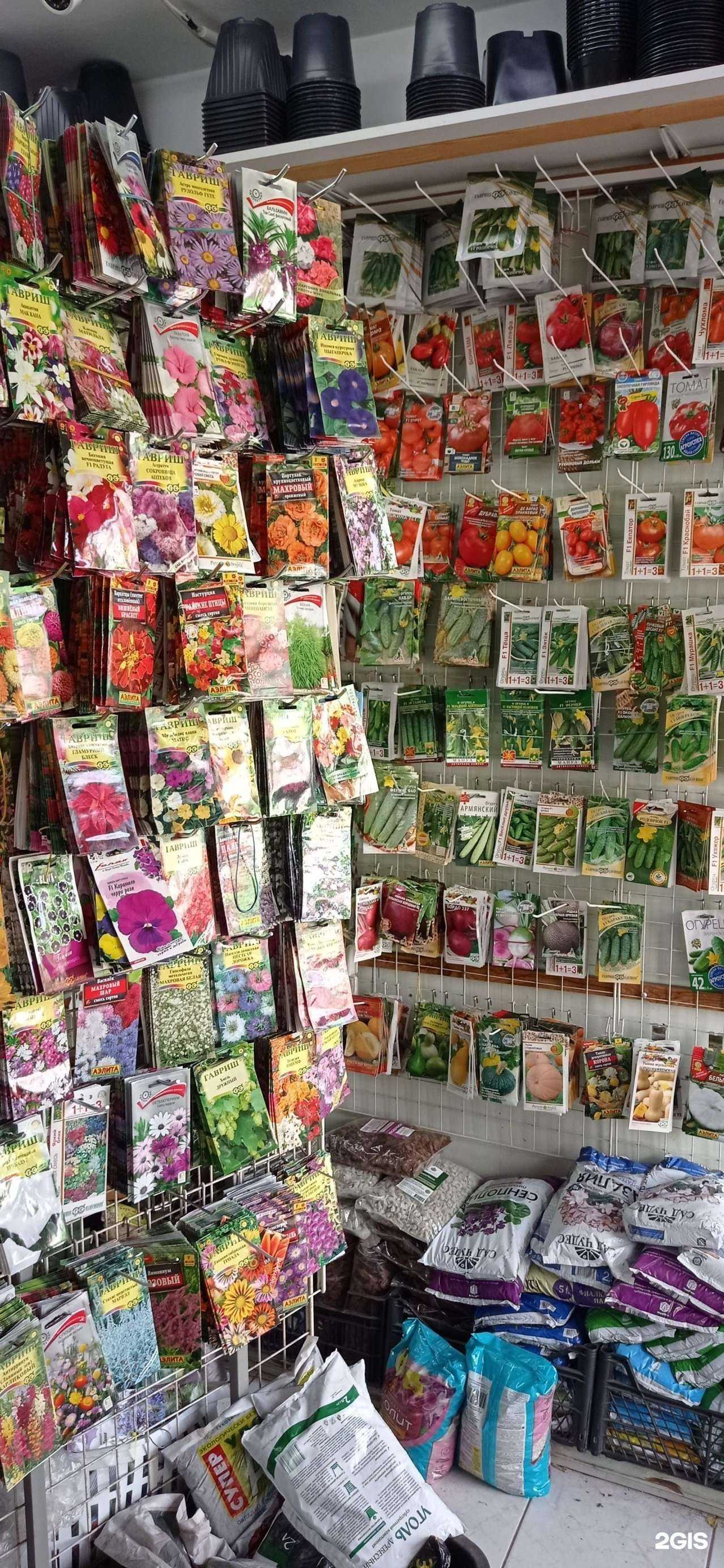 Отзывы на компанию Палисадник в Сочи c фото