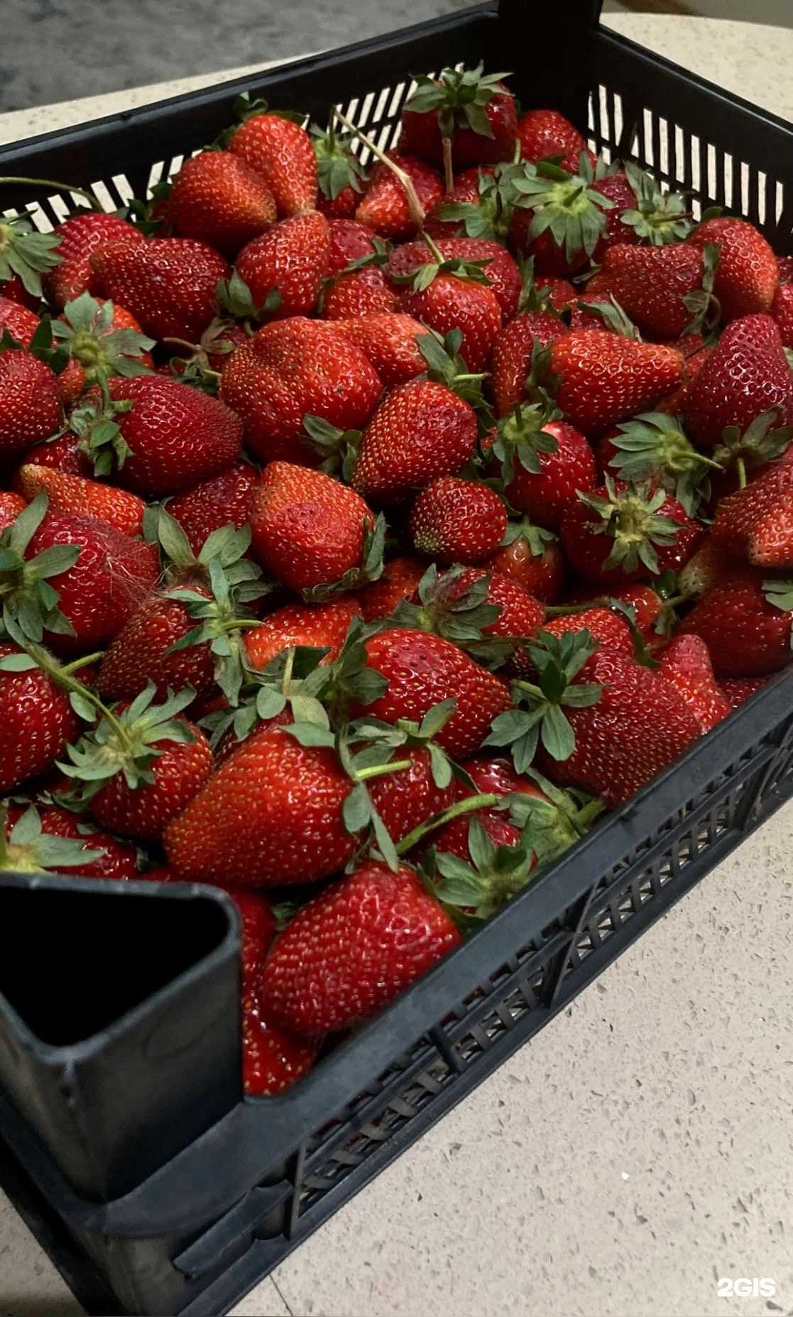 Отзывы на компанию ЯгодГрад в Тюмени c фото