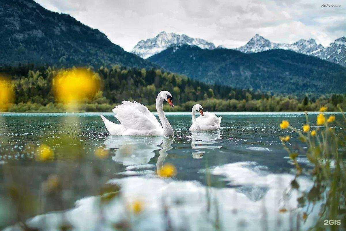 Отзывы на компанию Экологическая компания в Твери c фото