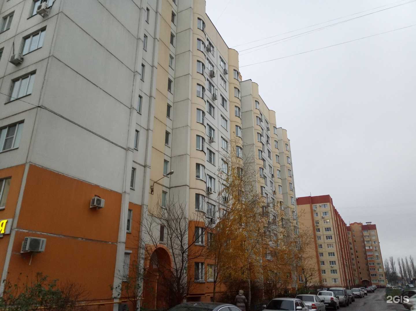 Отзывы на компанию Nogotok36 в Воронеже c фото - фотография 2 из 2