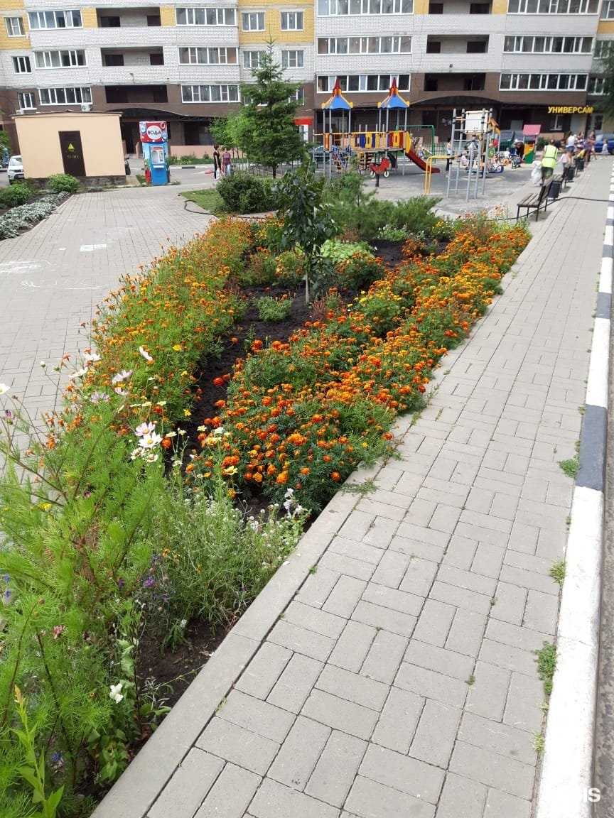 Отзывы на компанию Разливной Рай в Воронеже c фото - фотография 2 из 2