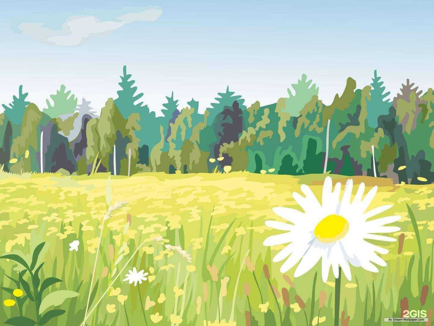 Отзывы на компанию Коллекция приключений, Владимирская областная общественная организация в Александрове c фото