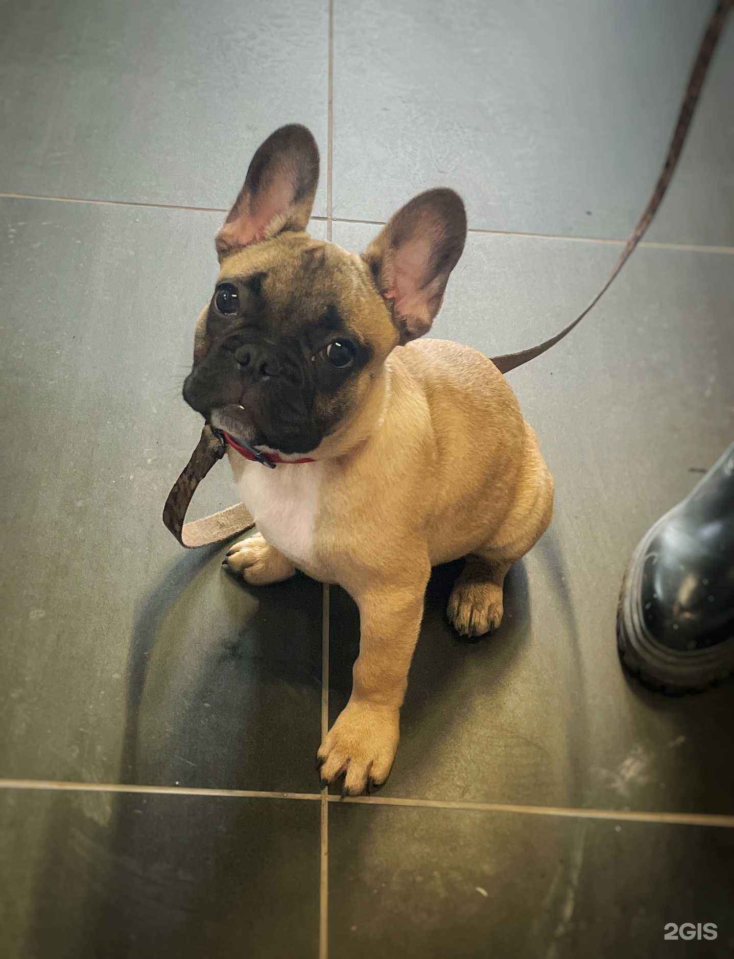 Отзывы на компанию Дуся и Маруся в Оренбурге c фото