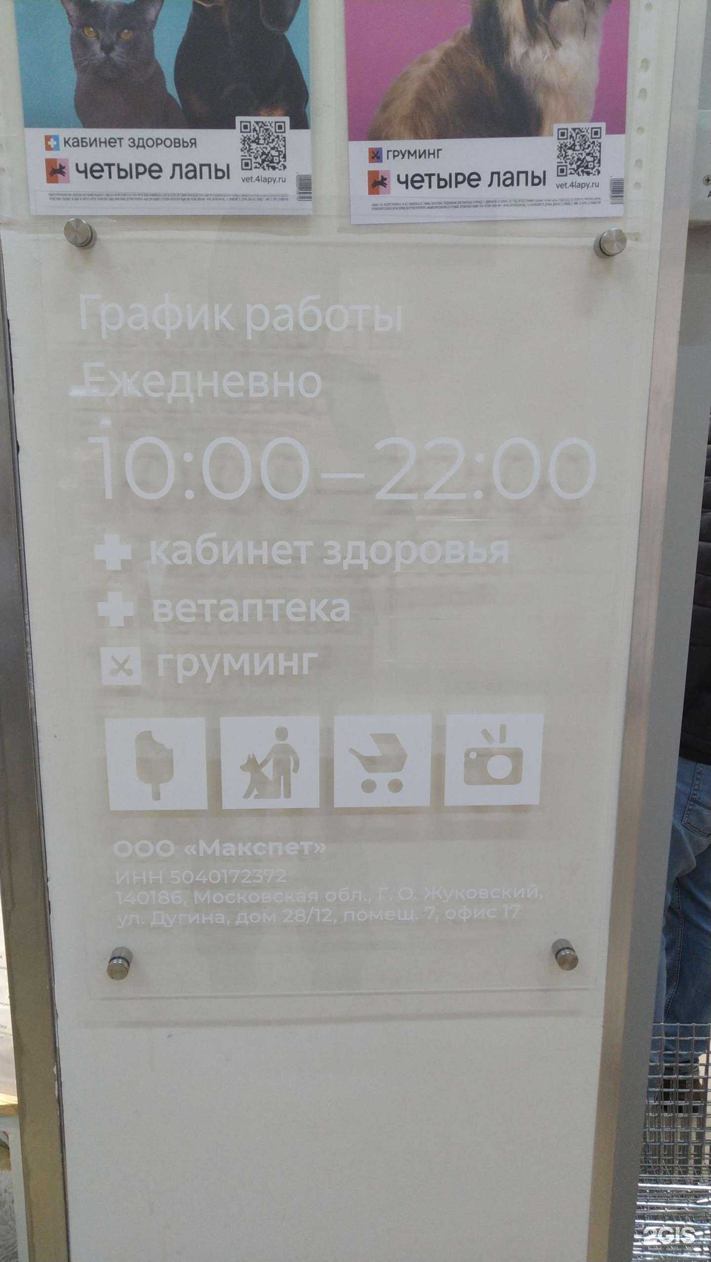 Отзывы на компанию Четыре лапы в Балашихе c фото