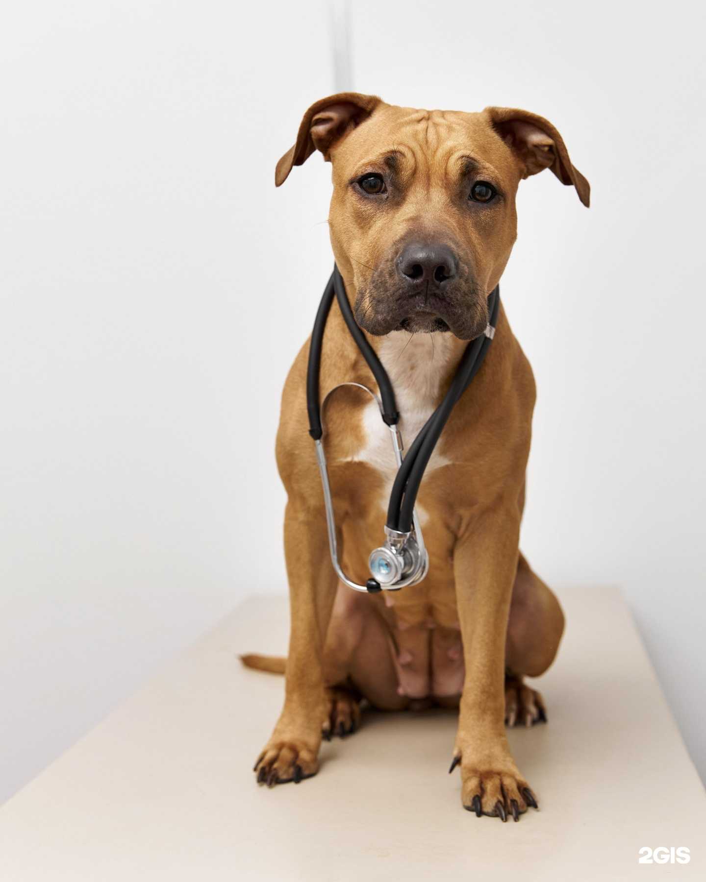 Отзывы на компанию Атлант в г. Новосибирск c фото