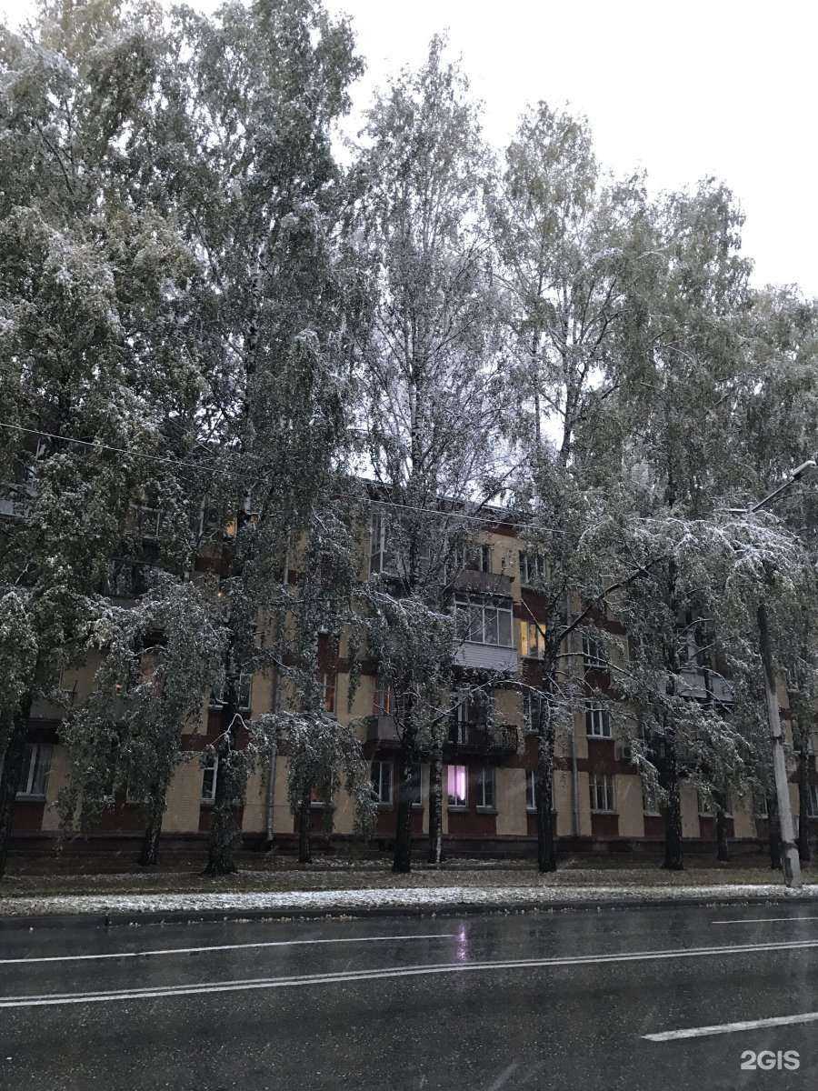 Отзывы на компанию Добродана в Новосибирске c фото - фотография 2 из 2