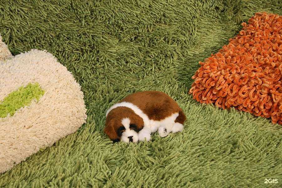 Отзывы на компанию Ангора в Копейске c фото