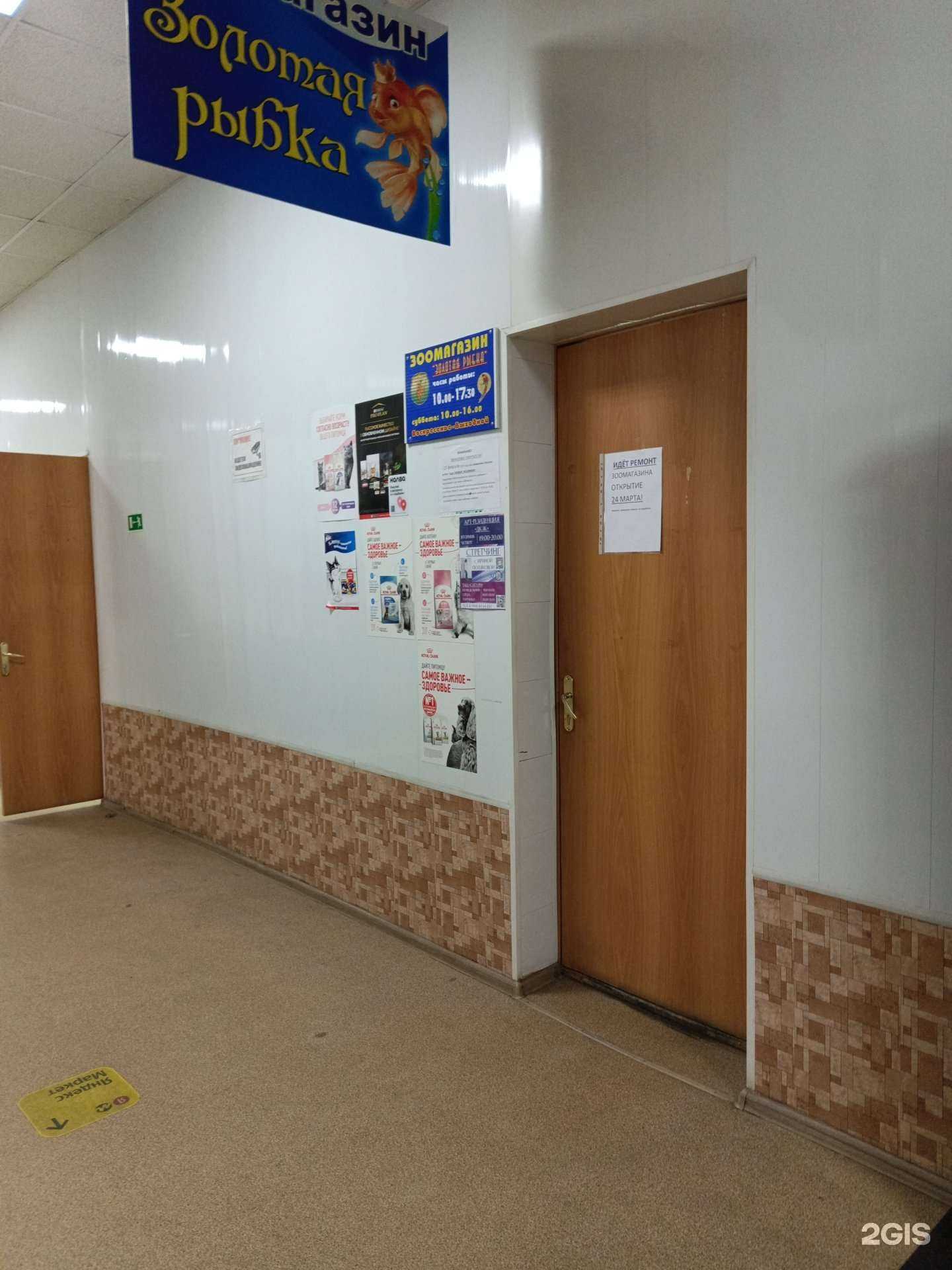 Отзывы на компанию Золотая рыбка в Чусовое c фото