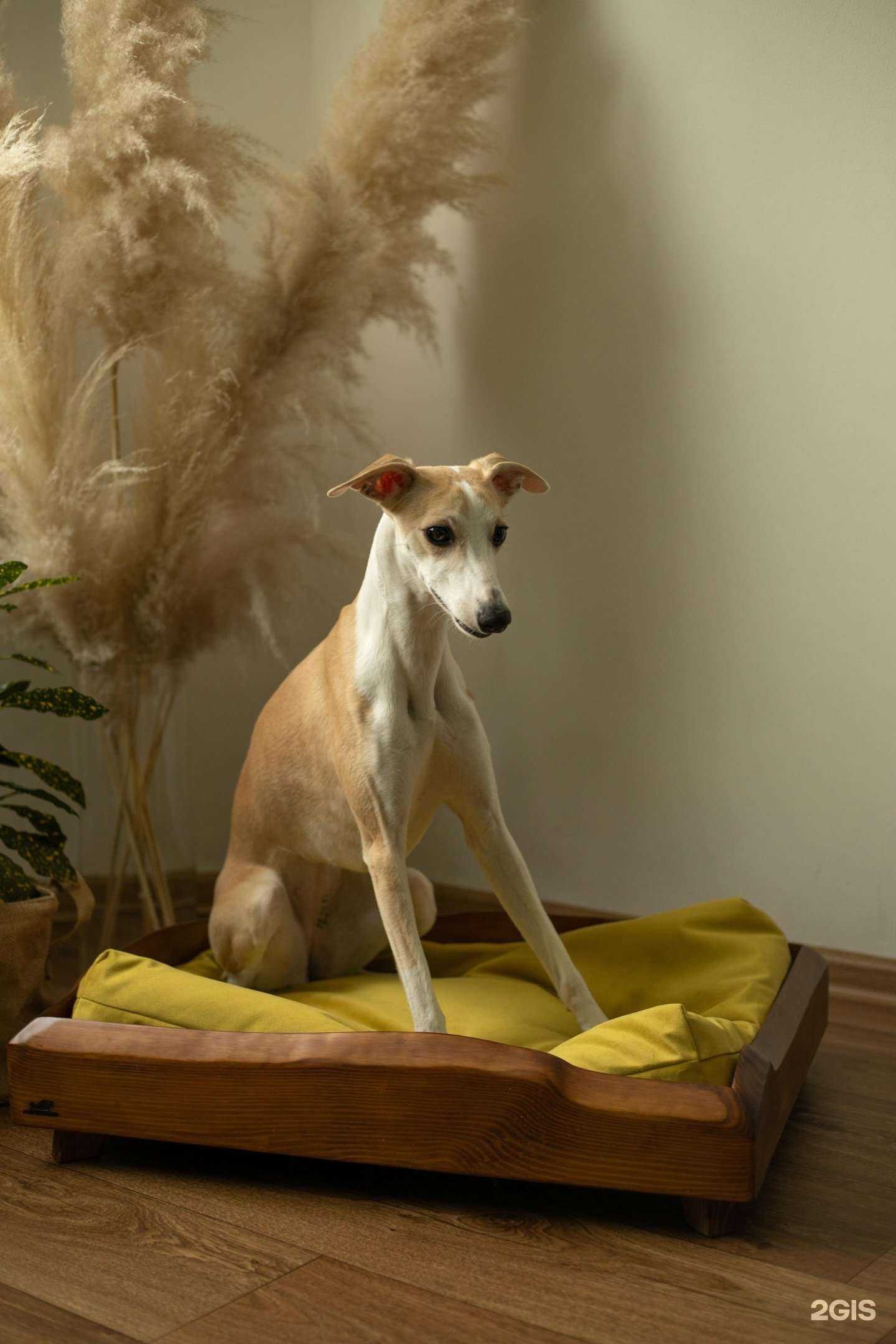 Отзывы на компанию Ionwood в Новосибирске c фото