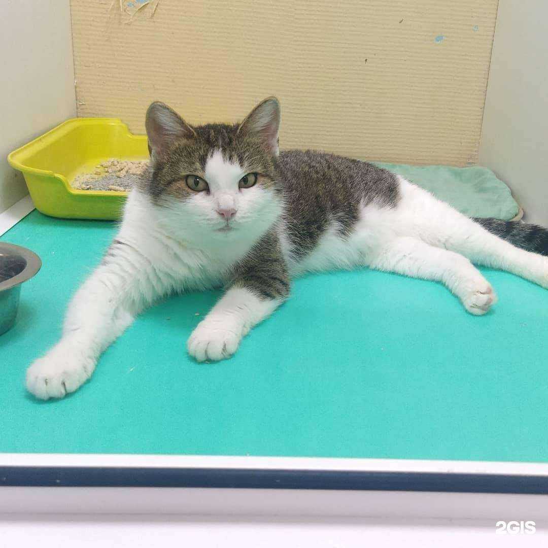 Отзывы на компанию Ковчег в г. Ульяновск c фото