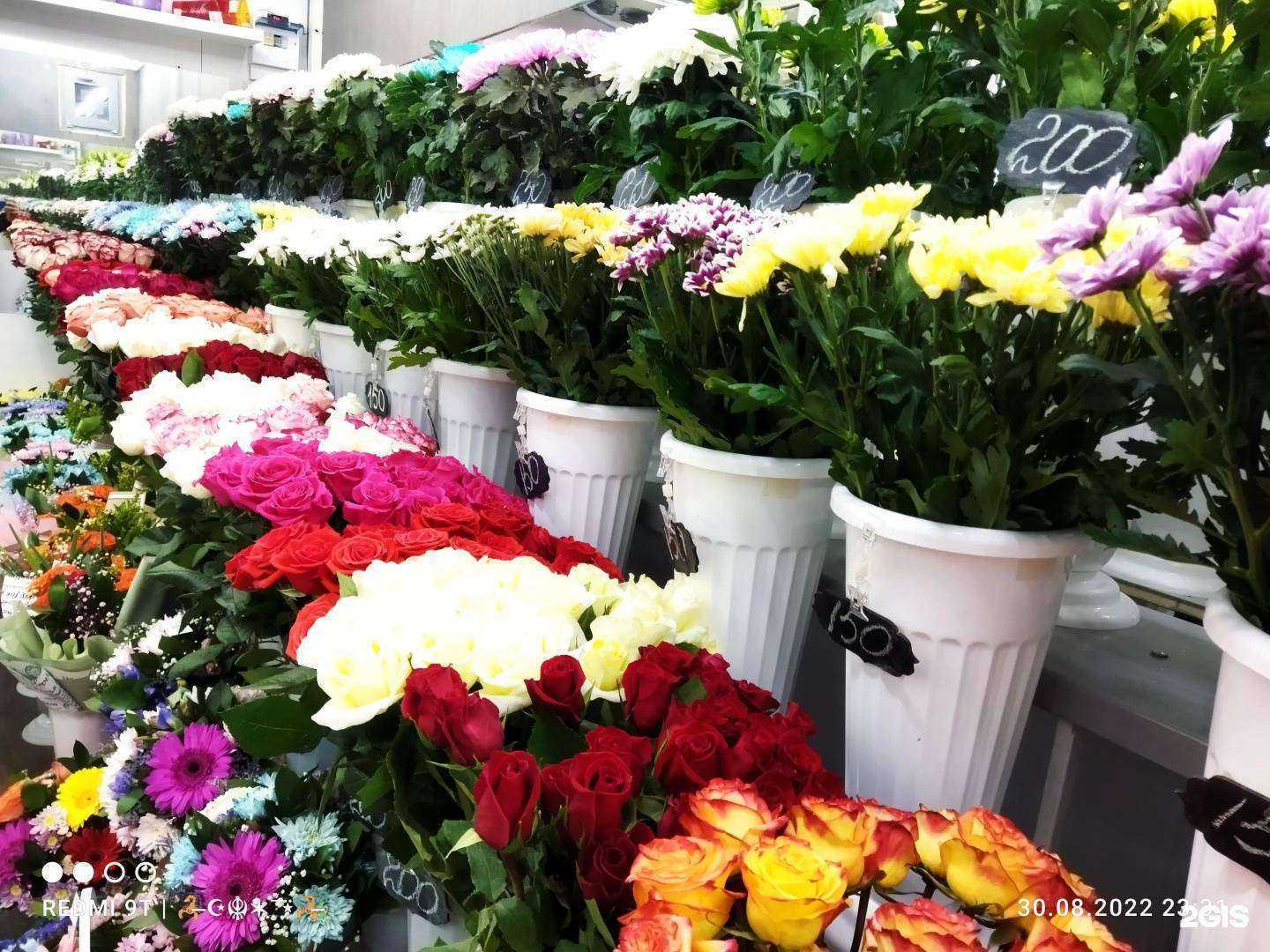 Отзывы на компанию Flora City в Томске c фото