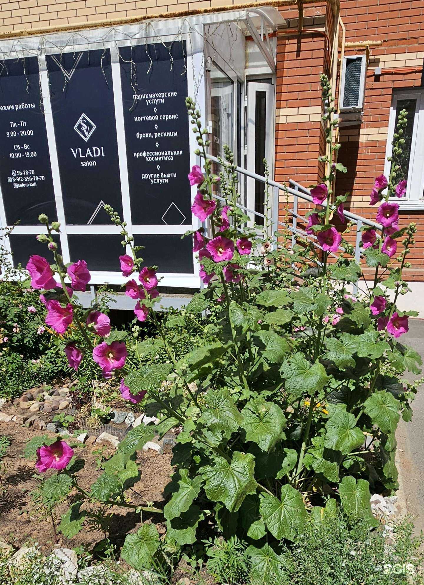 Отзывы на компанию SalonVladi в Ижевске c фото