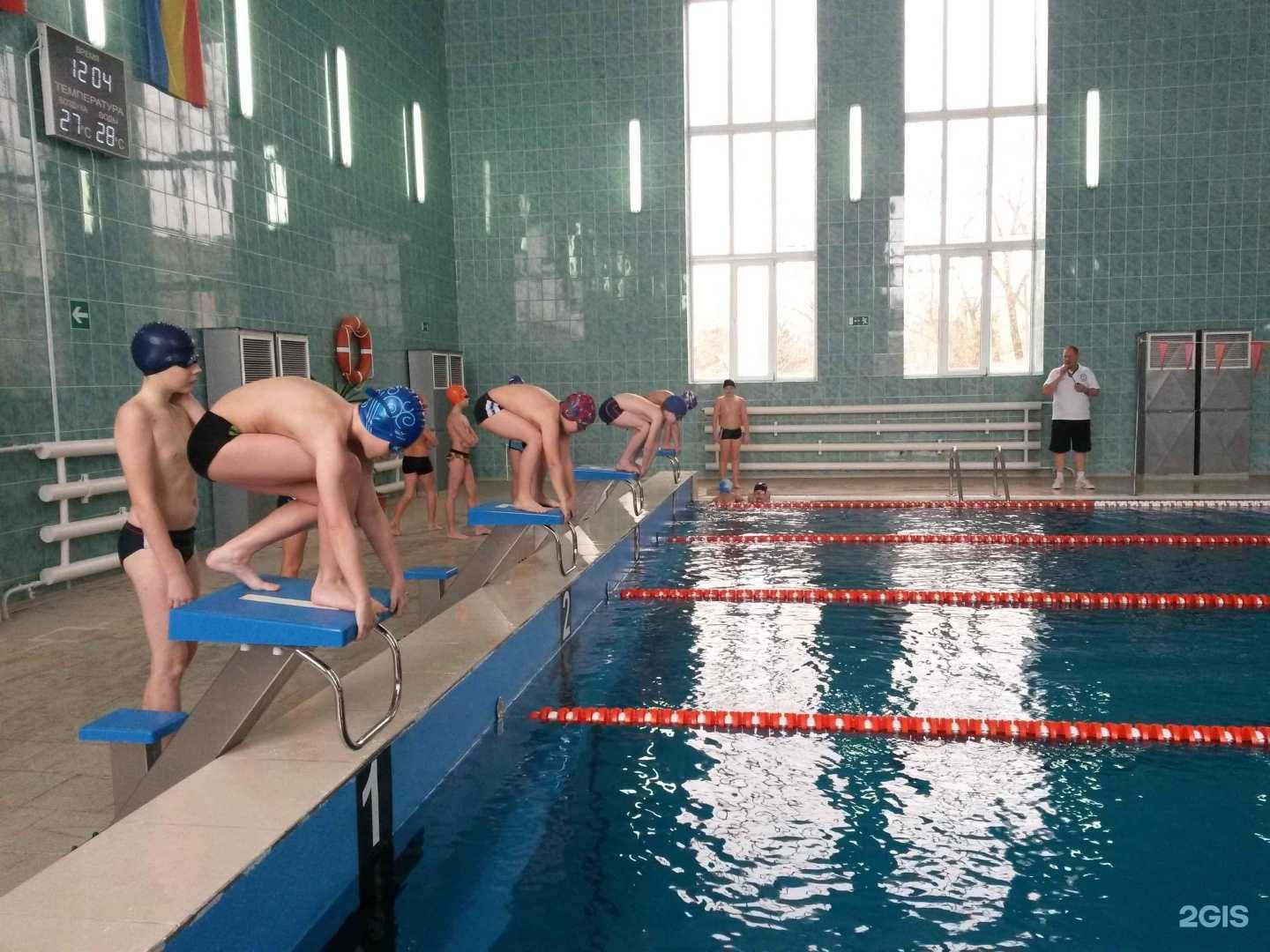 Отзывы на компанию Дельфин в Новочеркасске c фото