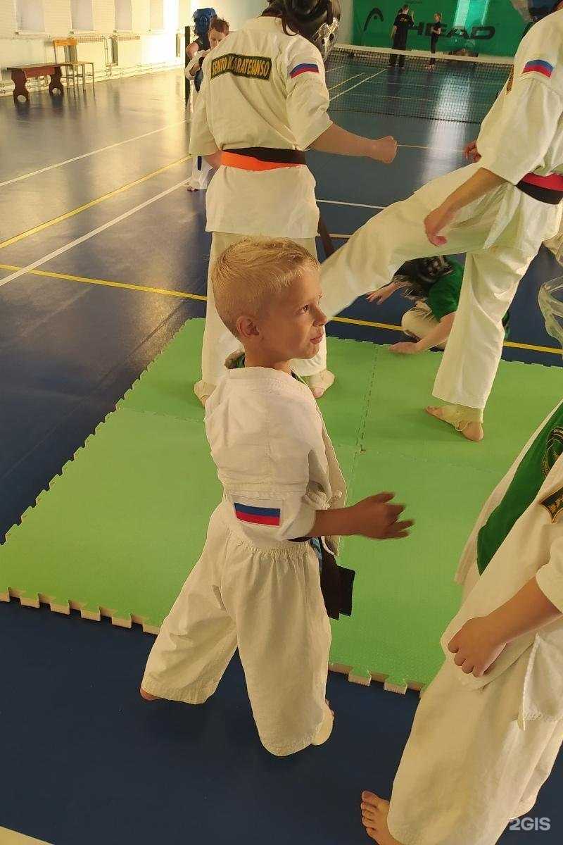 Отзывы на компанию Федерация боевого каратэ в г. Ярославль c фото