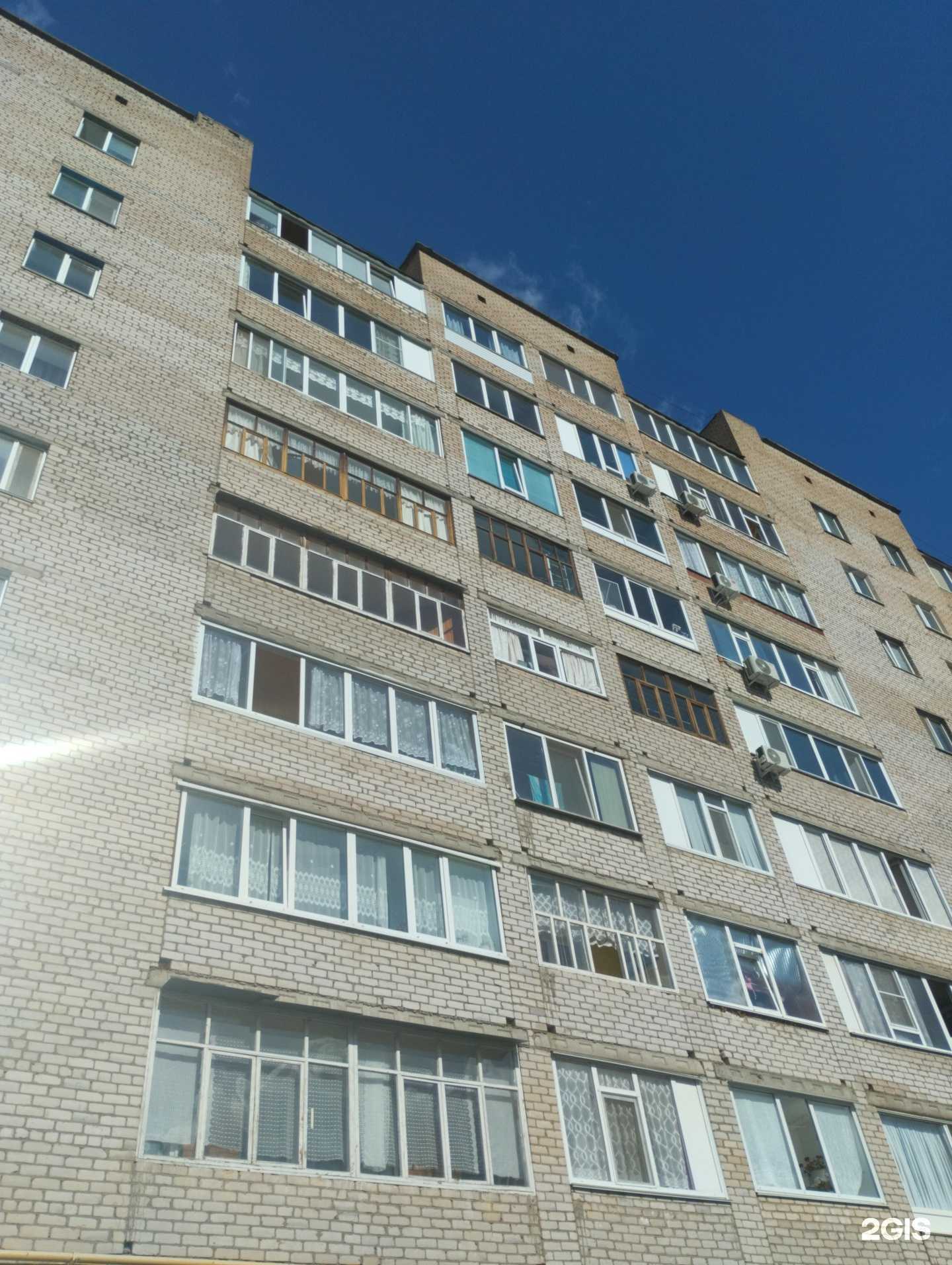 Отзывы на компанию База цветов в Нефтекамске c фото - фотография 2 из 2