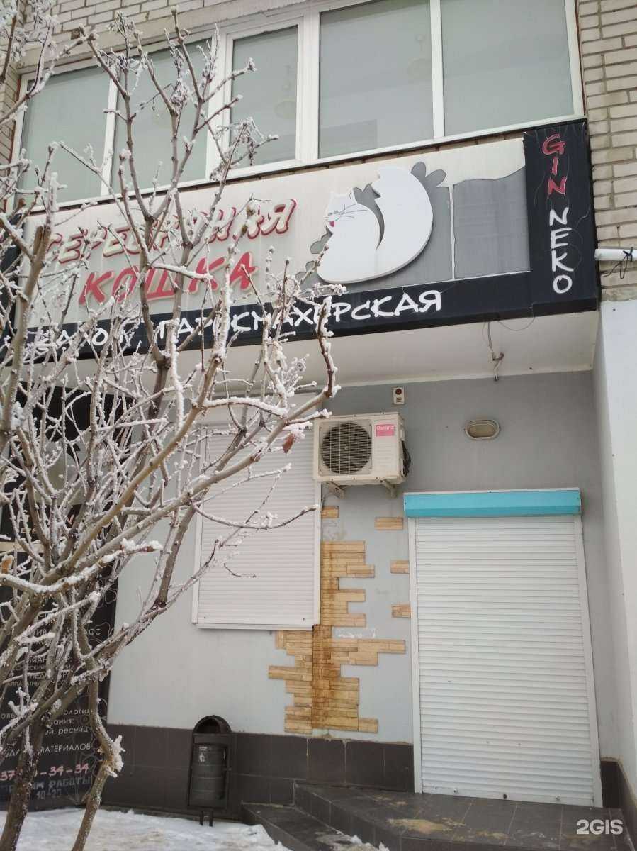 Отзывы на компанию Серебряная кошка в г. Волгоград c фото