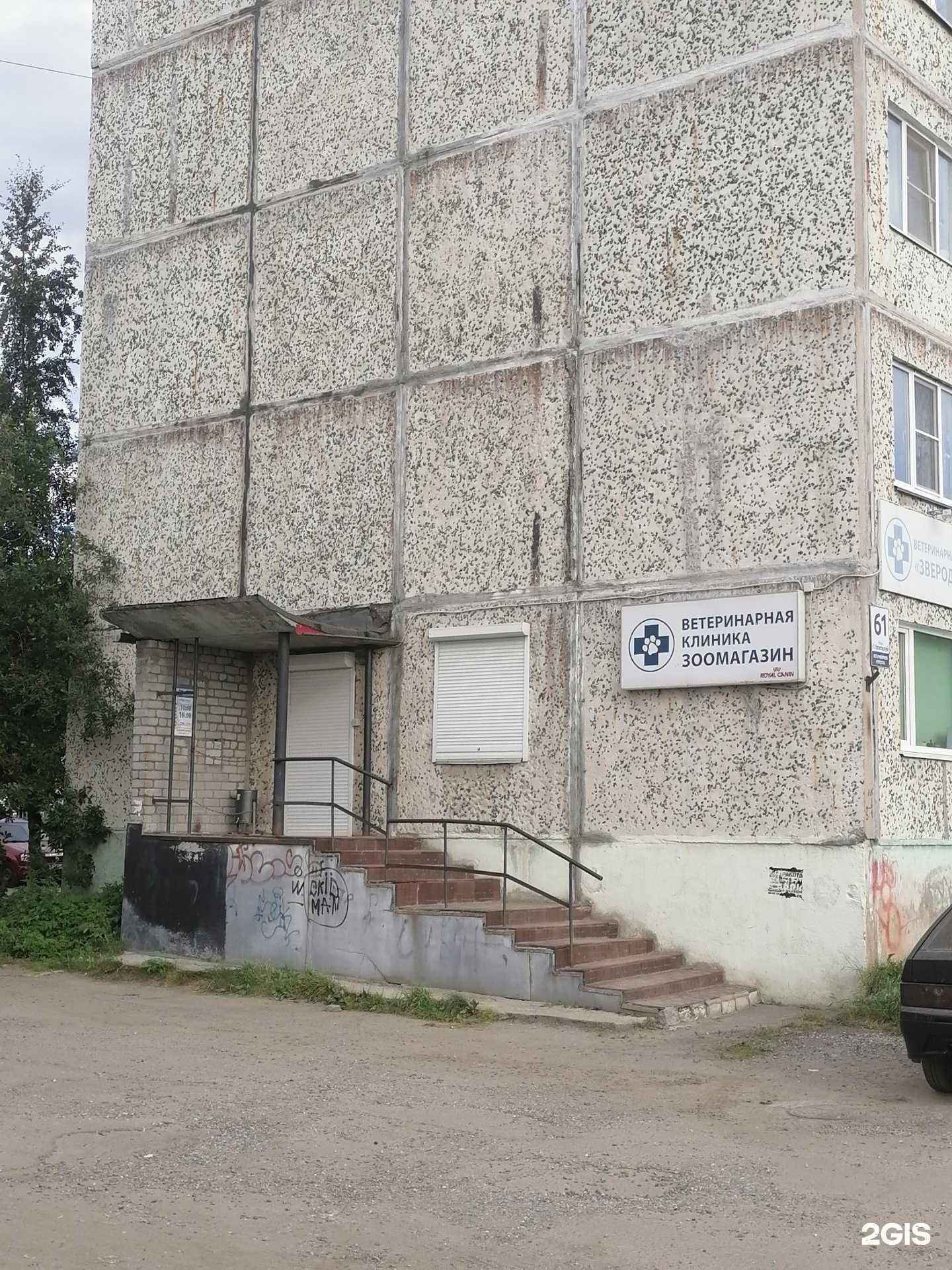 Отзывы на компанию Зверодоктор в г. Апатиты c фото