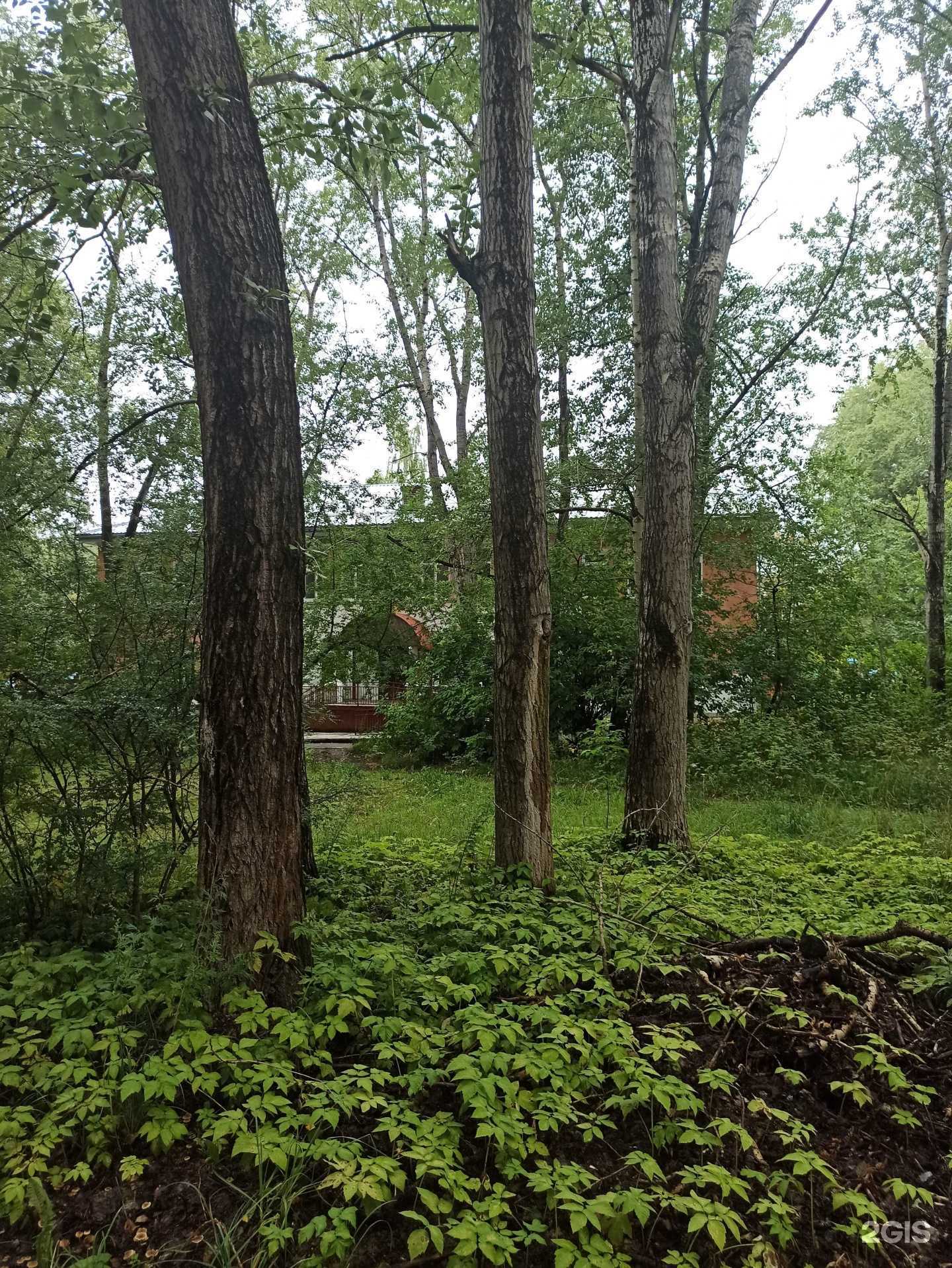 Отзывы на компанию Детский сад №37 в г. Березники c фото