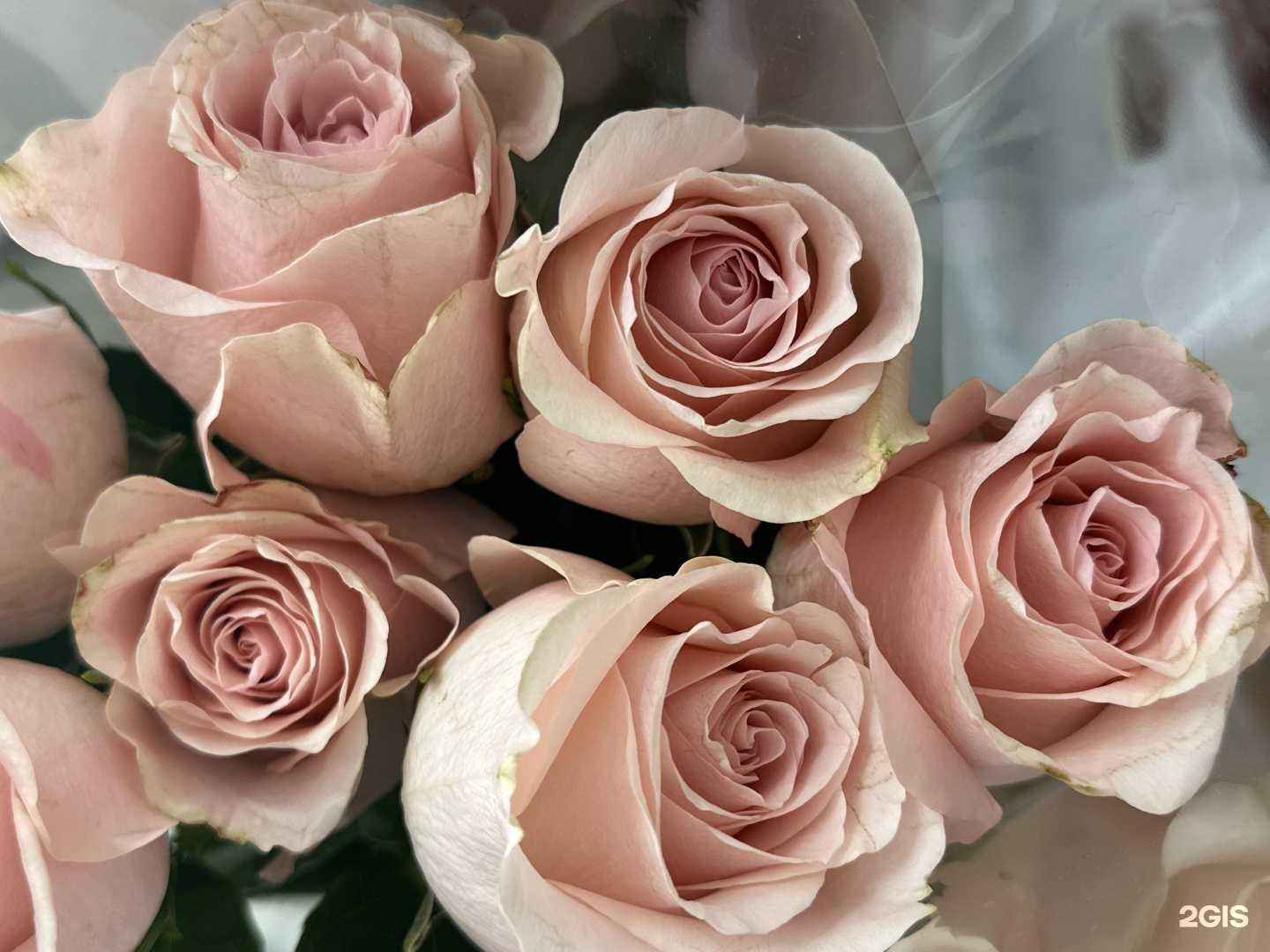 Отзывы на компанию Ваш Букет в Кирове c фото