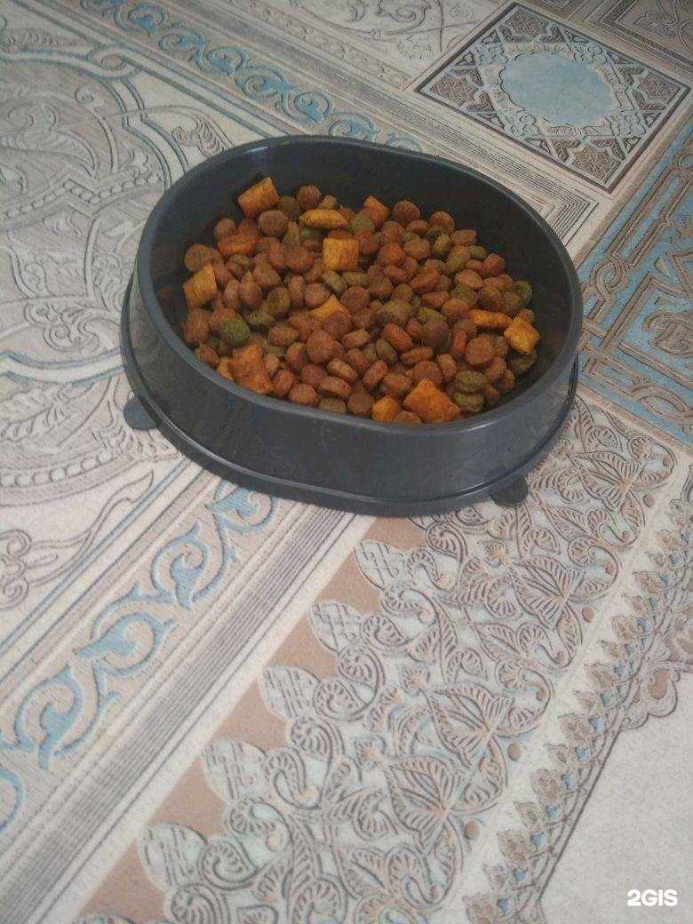 Отзывы на компанию Мир хвостатых в Екатеринбурге c фото