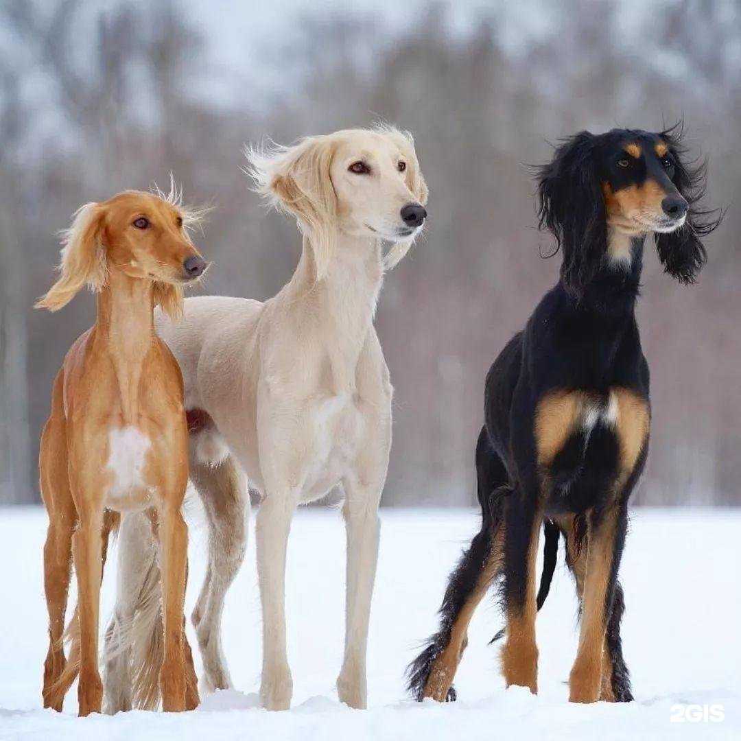Отзывы на компанию Амиго в Иркутске c фото