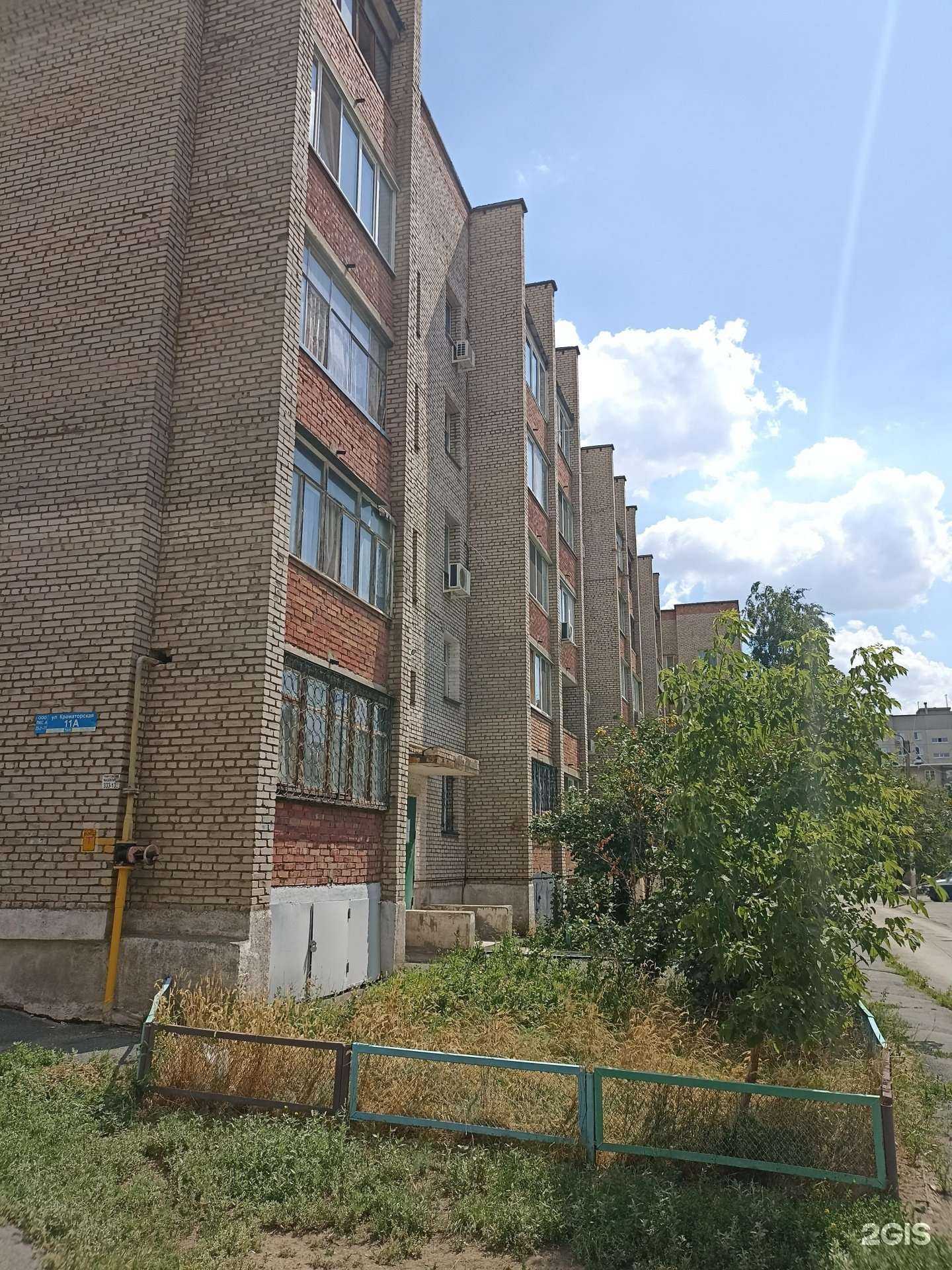 Отзывы на компанию Орское городское общество любителей собак в Орске c фото - фотография 2 из 2