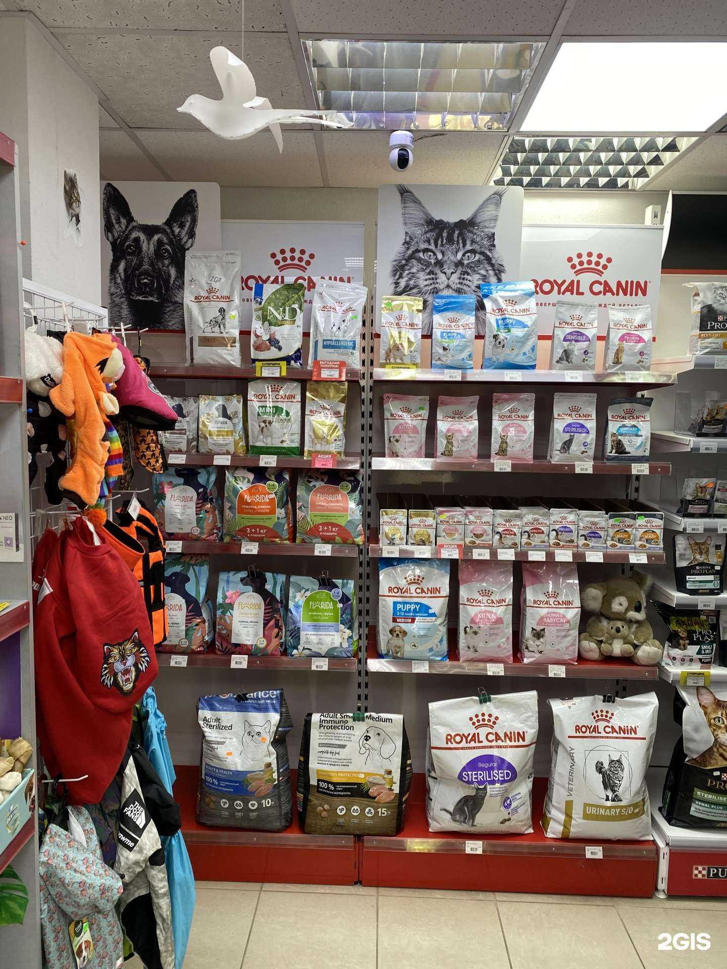 Отзывы на компанию Город здоровых животных в г. Воронеж c фото