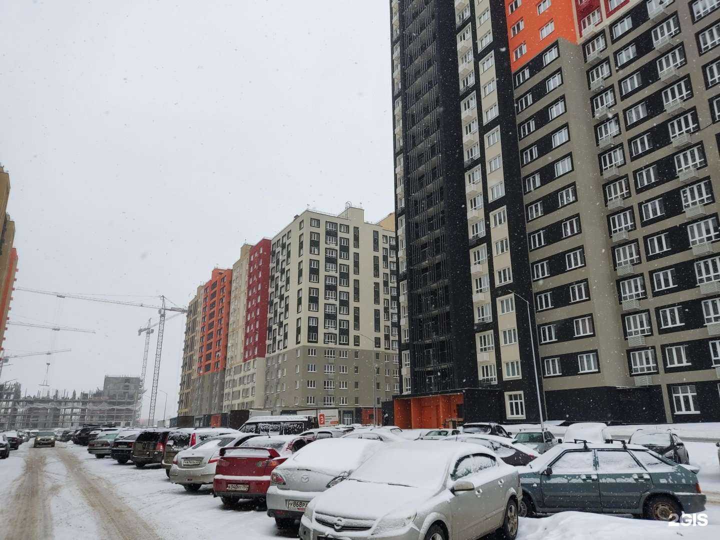 Отзывы на компанию Груминг студия Александры Кибиревой в Балашихе c фото - фотография 2 из 2