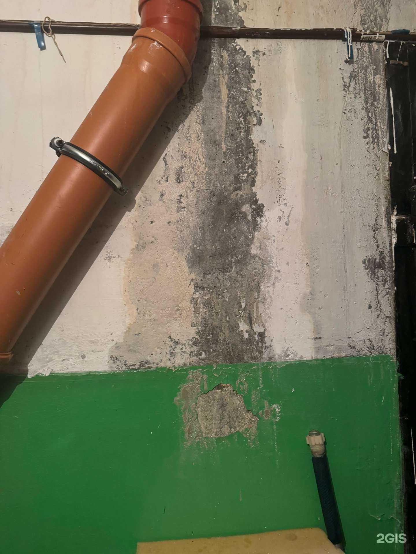 Отзывы на компанию Парикмахерская в Омске c фото - фотография 2 из 2