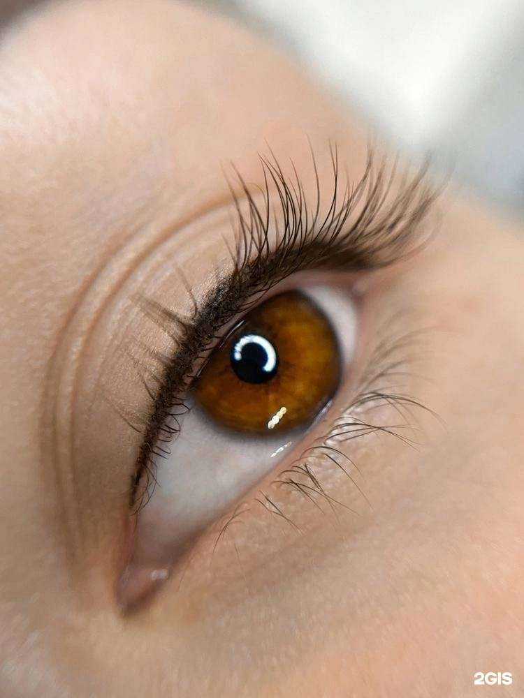 Отзывы на компанию Vanilla в Новосибирске c фото