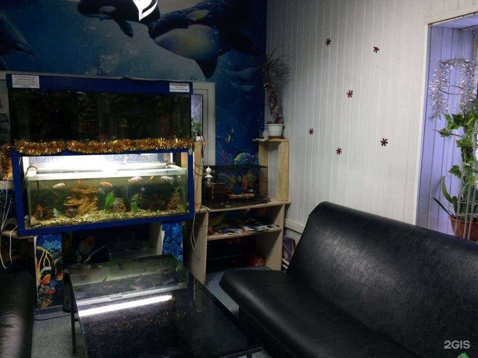 Отзывы на компанию Аквариум в г. Уфа c фото