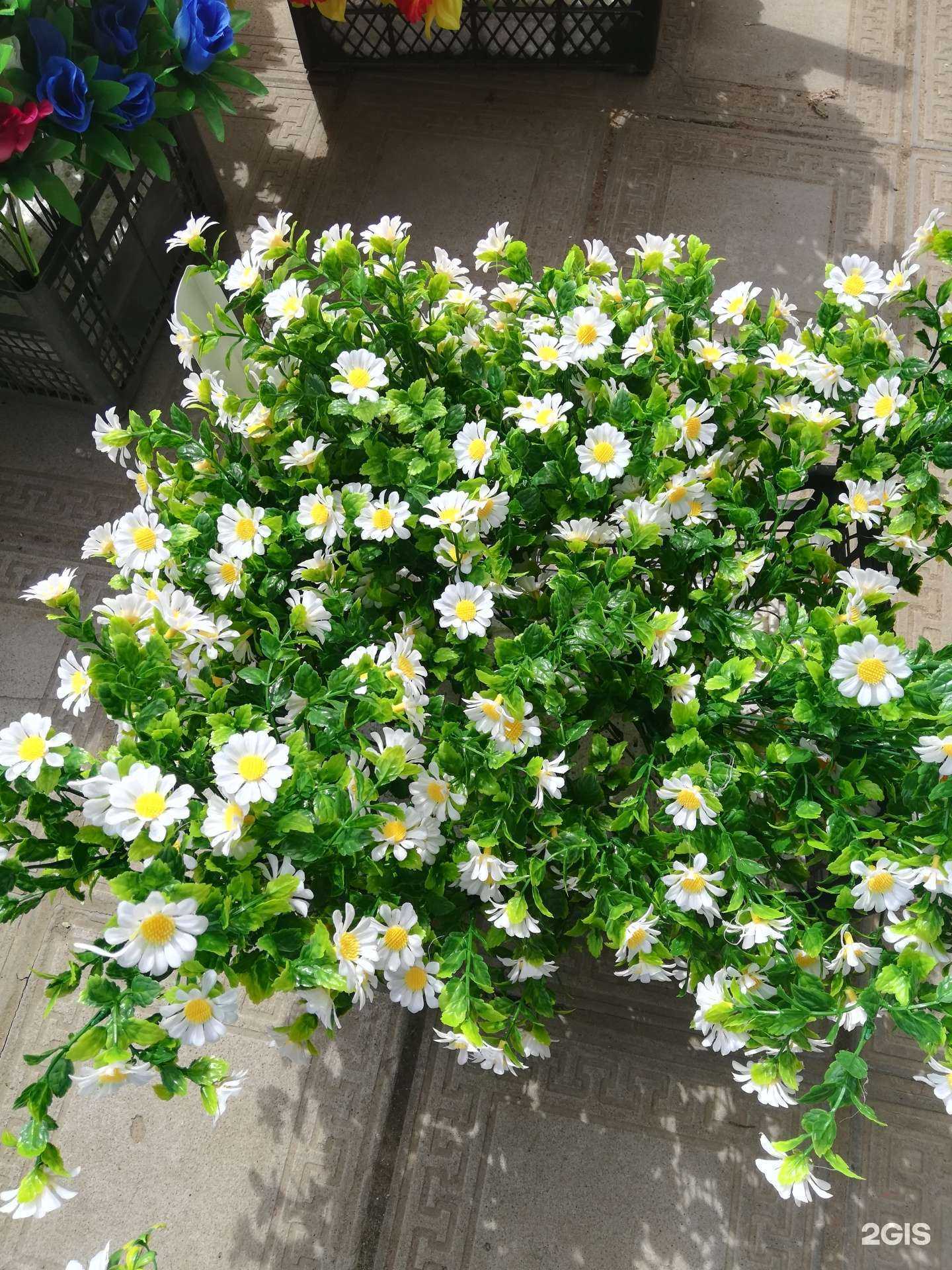 Отзывы на компанию Цветы в Сыктывкаре c фото