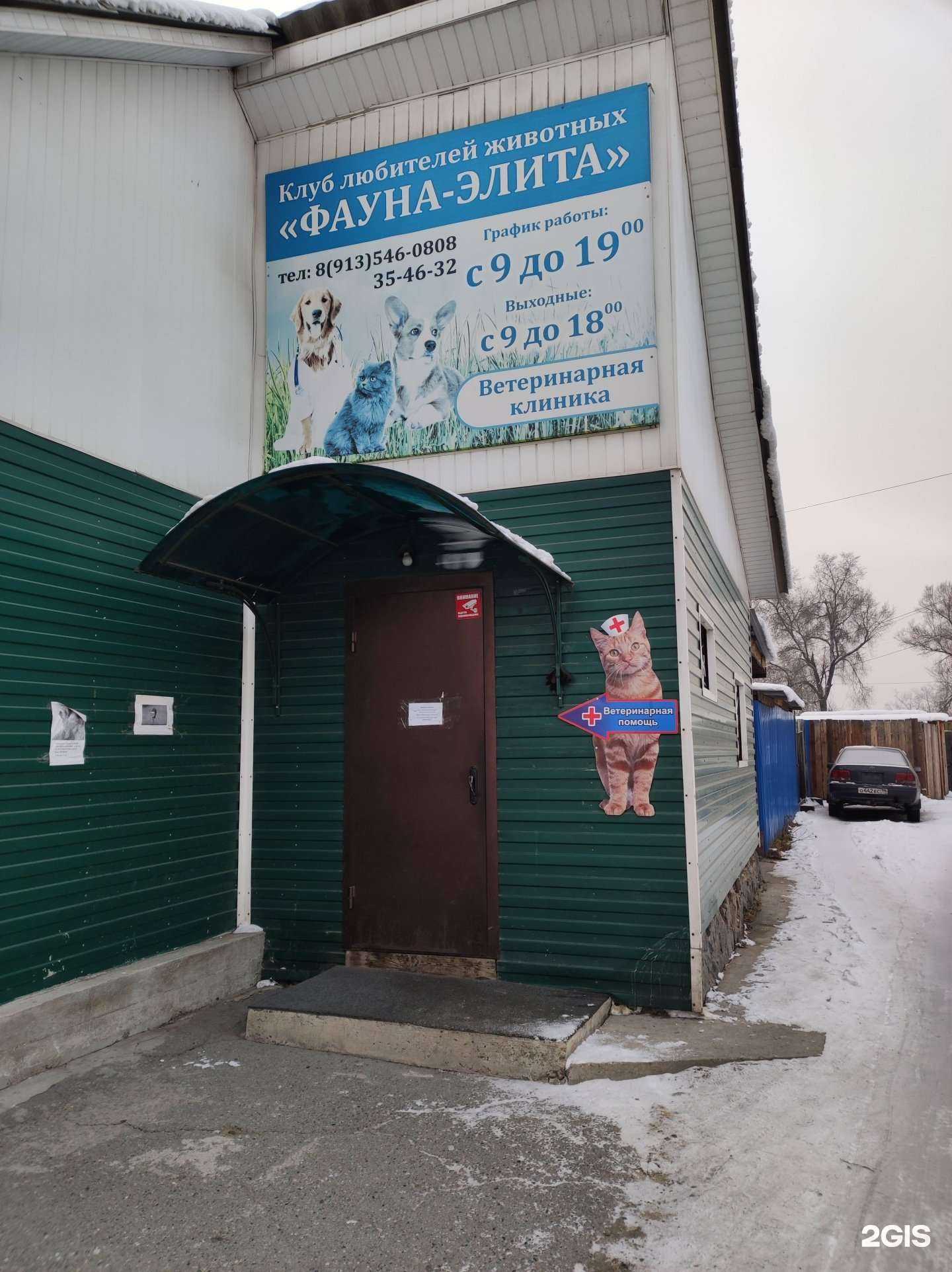 Отзывы на компанию Фауна-элита в Абакане c фото